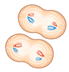 (주)천재교과서 과학3 193쪽 수정내용 이미지
