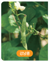 (주)아이스크림미디어 과학3-1 105쪽 수정내용 이미지