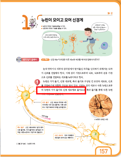 (주)천재교과서 과학3(전자저작물 CD 포함) 261쪽 현행내용 이미지