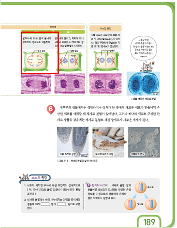 (주)천재교과서 과학3(전자저작물 CD 포함) 305쪽 현행내용 이미지