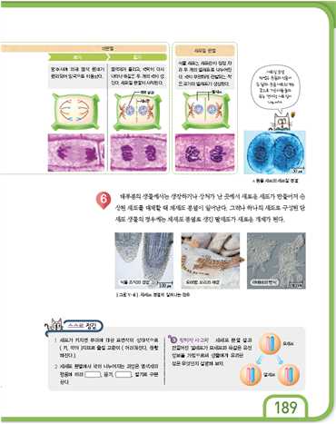 (주)천재교과서 과학3(전자저작물 CD 포함) 305쪽 수정내용 이미지
