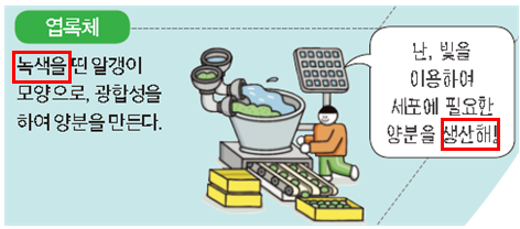 (주)천재교과서 과학1 39쪽 현행내용 이미지