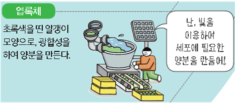 (주)천재교과서 과학1 39쪽 수정내용 이미지