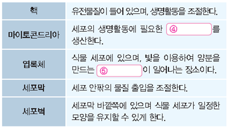 (주)천재교과서 과학1 46쪽 수정내용 이미지