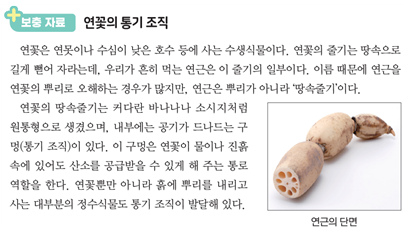 (주)아이스크림미디어 과학3-1지도서(전자저작물 포함) 281쪽 수정내용 이미지