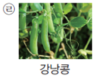 (주)아이스크림미디어 과학3-1지도서(전자저작물 포함) 391쪽 현행내용 이미지