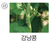 (주)아이스크림미디어 과학3-1지도서(전자저작물 포함) 391쪽 수정내용 이미지