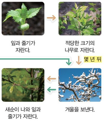 (주)비상교육 과학3-1지도서(전자저작물 포함) 471쪽 현행내용 이미지