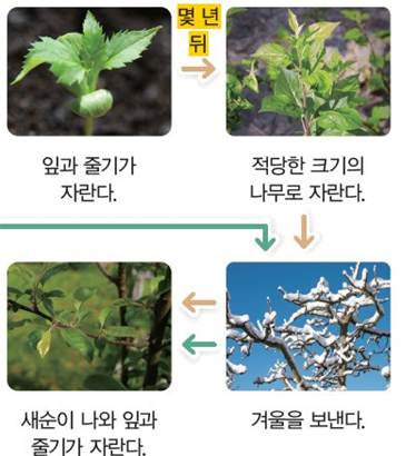 (주)비상교육 과학3-1지도서(전자저작물 포함) 471쪽 수정내용 이미지