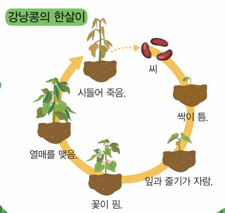 (주)천재교과서 과학3-1 117쪽 현행내용 이미지