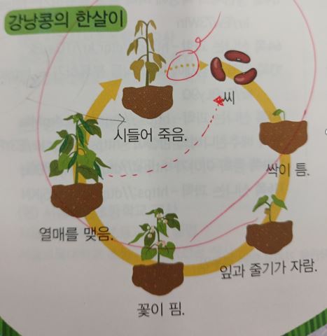 (주)천재교과서 과학3-1 117쪽 수정내용 이미지
