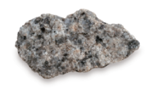 (주)천재교과서 실험관찰4-1 51쪽 현행내용 이미지