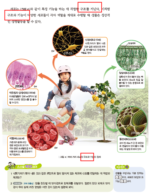 (주)천재교과서 과학1 41쪽 현행내용 이미지