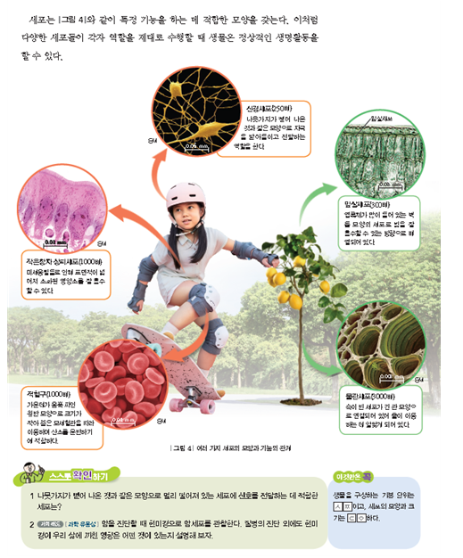 (주)천재교과서 과학1 41쪽 수정내용 이미지