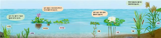 동아출판(주) 과학3-1 64-65하단 간지쪽 현행내용 이미지