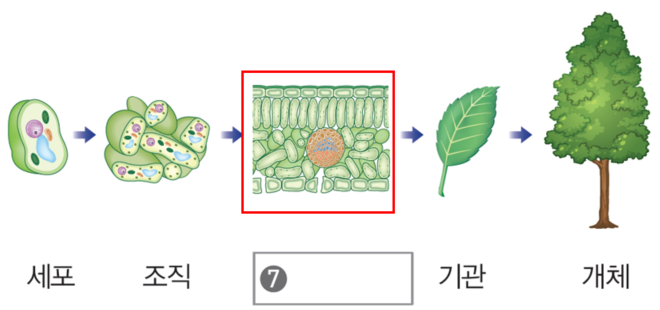 (주)비상교육 생명과학 12쪽 현행내용 이미지