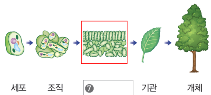 (주)비상교육 생명과학 12쪽 수정내용 이미지