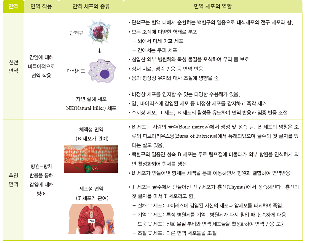 지구문화사 보건 150쪽 수정내용 이미지