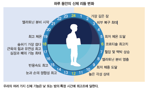 지구문화사 보건 29쪽 수정내용 이미지