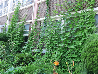 (주)서울교과서 환경 40쪽 수정내용 이미지