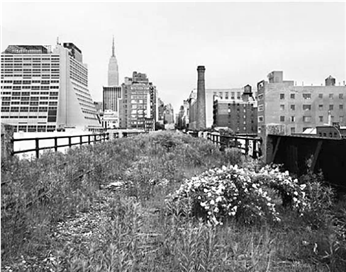 (주)서울교과서 환경 164쪽 수정내용 이미지