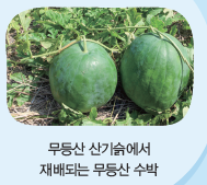 (주)아이스크림미디어 사회4-2 82쪽 현행내용 이미지