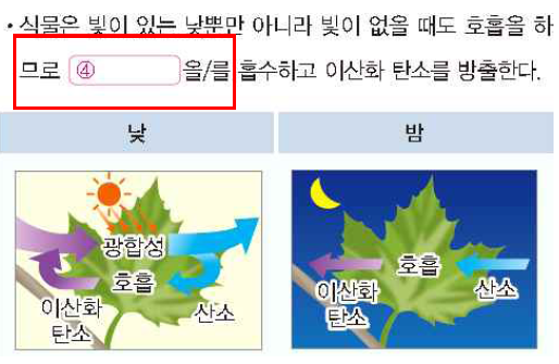 (주)천재교과서 과학2 194쪽 현행내용 이미지