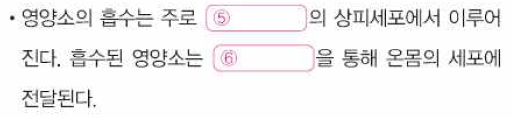 (주)천재교과서 과학2 218쪽 수정내용 이미지