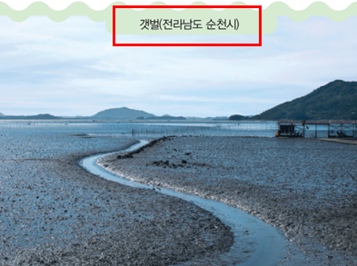 동아출판(주) 과학3-2 45쪽 현행내용 이미지