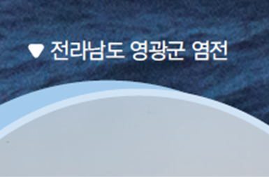 동아출판(주) 과학3-2 55쪽 현행내용 이미지