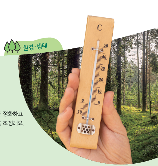 (주)비상교육 실과6 90쪽 수정내용 이미지