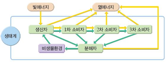 (주)비상교육 생명과학 203쪽 현행내용 이미지